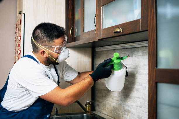 Best Pest Control for Businesses  in Los Ranchos, CA