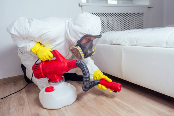 Best Pest Removal Services  in Los Ranchos, CA