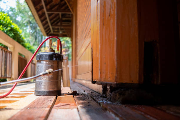 Best Termite Control Services  in Los Ranchos, CA