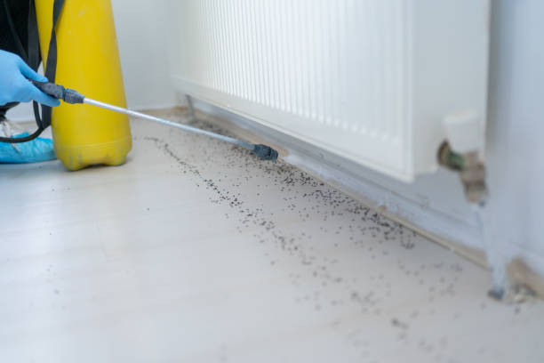 Best Best Pest Control Companies  in Los Ranchos, CA